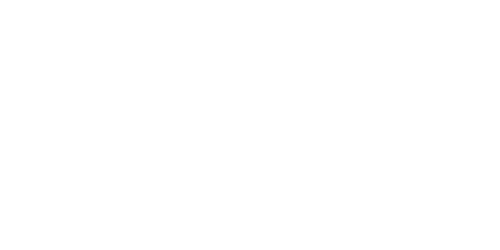 Mini Bus